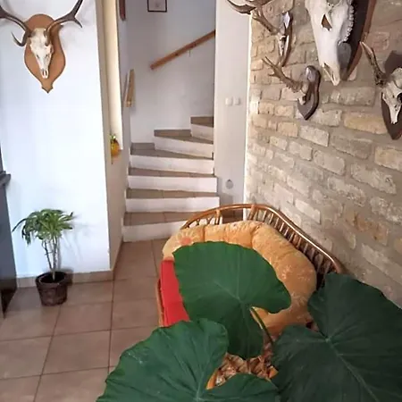 Vadaszkuert Vendegfogado Bed & Breakfast